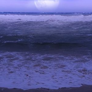 Meet your Posher, Rabibah